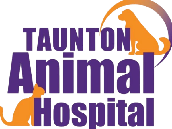 Taunton Animal Hospital logo